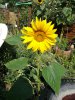 IMG_20200807_103924.jpg
