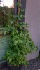20200809_204045.jpg
