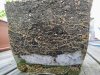 IMG_20200810_174149.jpg