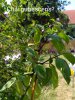 IMG_20200816_131527~2.jpg