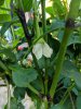 IMG_20200819_175644.jpg