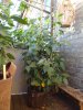 DSC04077.JPG