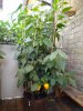 DSC04088.JPG