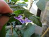 DSC04085.JPG