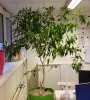 20200825_064520.jpg
