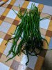 IMG_20200825_185231.jpg