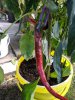 IMG_20200829_102220.jpg