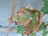 20200913_170927.jpg
