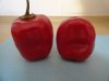 DSC04148.JPG
