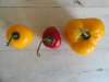 DSC04155.JPG