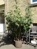 DSC04135.JPG