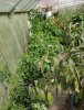 IMG_20200920_130441.jpg
