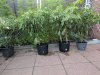IMG_20200917_190041.jpg