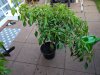 IMG_20200922_184945.jpg