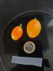 20201006_115214.jpg