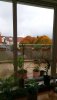 IMG_20201010_102546_5.jpg