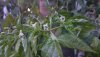 _photo_2020-10-15_18-39-07.jpg