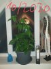 20201017_082129.jpg