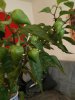 IMG_20201017_101848.jpg