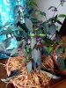 IMG_20201018_155536612.jpg
