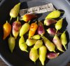 20201024_114449.jpg