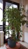 20201121_102127.jpg