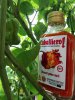 IMG_20200814_141712.jpg