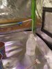 IMG_20201221_101420.jpg