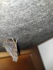 IMG_20201228_184418.jpg