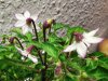 IMG_20210104_185322.jpg