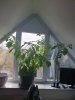 20201228_104230.jpg