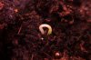 DSC00016_7~4.JPG