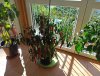 IMG_20201004_120632.jpg