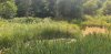 20200713_143255.jpg