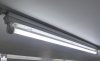 D21B70C9-2611-49B9-B530-5FEA49417B15.jpeg