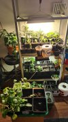 grow.jpg grow.jpg