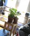 Foto 20.04.20, 16 56 58.jpg
