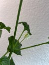 IMG_1564.jpg