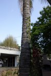 Garten08.jpg Garten08.jpg
