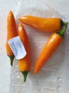 Bulgarian Carrot (3).jpg