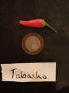 Tabasco (2).jpg