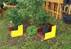 Chili_Paradies_Chili_Garten20.jpg