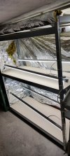 IMG_20220119_174453.jpg
