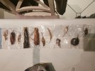 IMG_20220125_175121.jpg
