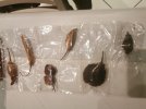 IMG_20220125_175127.jpg