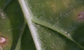 20220422_165830_detail.jpg