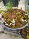 IMG_20220501_074756.jpg