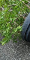 IMG_20220626_125043.jpg