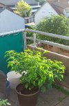 20220703_070730.jpg