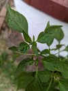 PXL_20220710_140044683.jpg